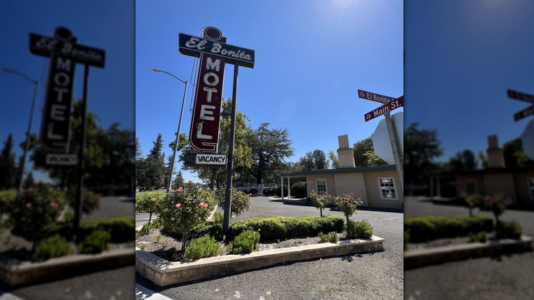 Neon sign outside of El Bonita Motel in St. Helena
