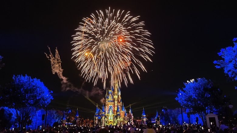 Fireworks light up night sky above Cinderella's Castle at Walt Disney World, Orlando