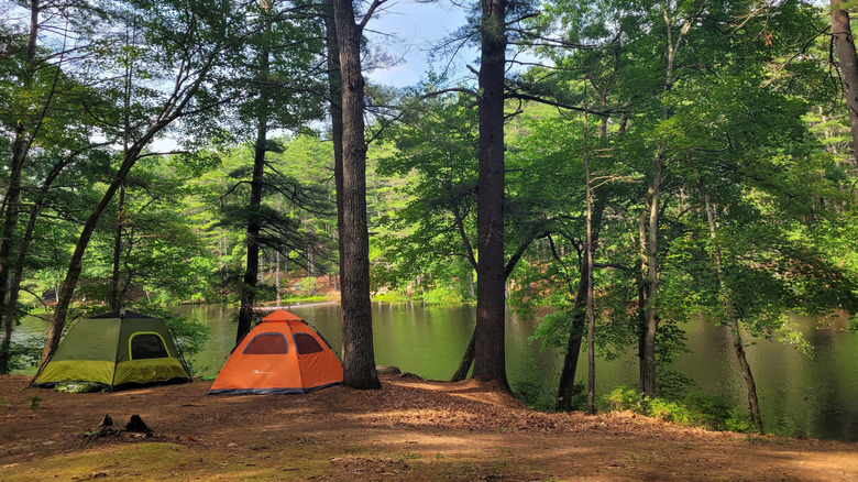 A waterfront campsite along Frye Brook in Loraine Campground in Harold Parker State Forest in Andover, Massachusetts