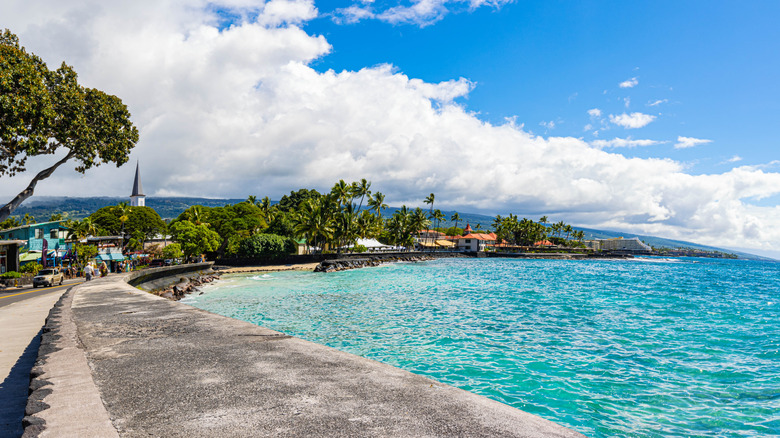 A view down the coast on the﻿ island of Hawaiʻi