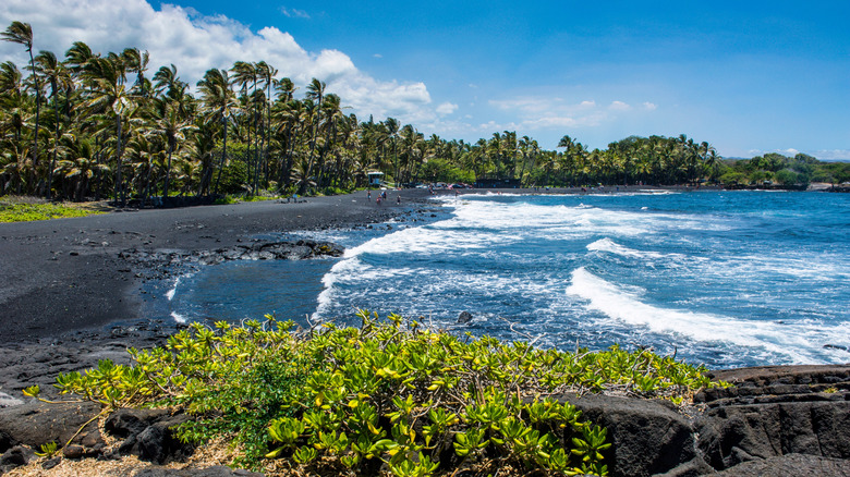 A black sand beach on the Big Island