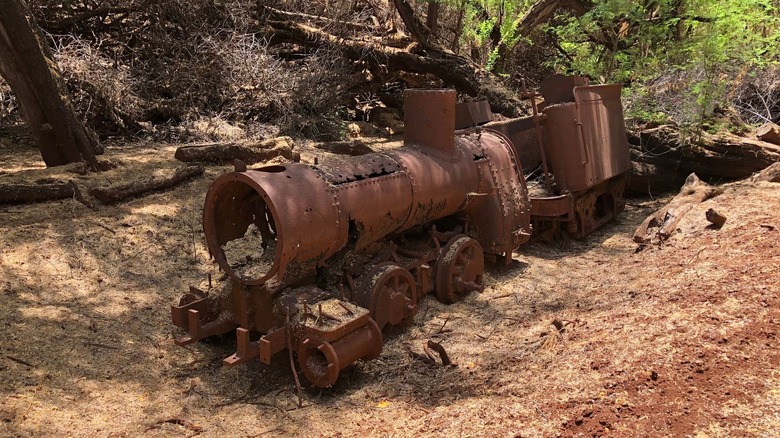 The abandoned and rusted Mauna Lei Sugar Company locamotive in Keomoku, Lanai