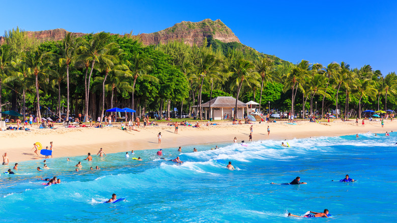Sunbathers on the shore and surfers in the blue ocean waters against a row of palm trees and a mountain in the background