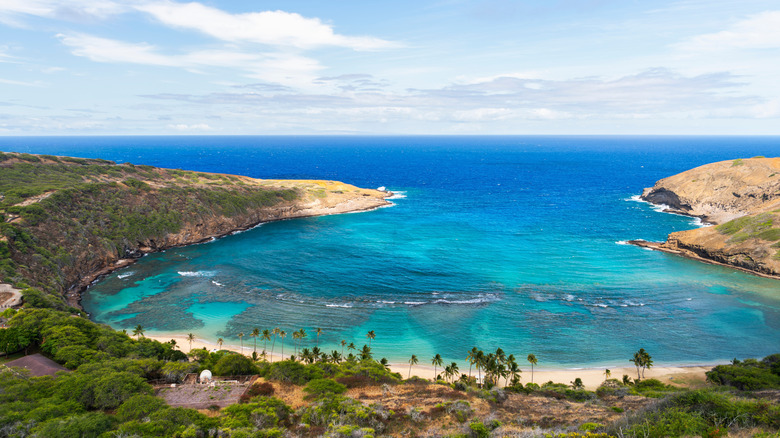 Hanauma Bay's aerial view showcasing fringing reefs in Oahu, Hawaii