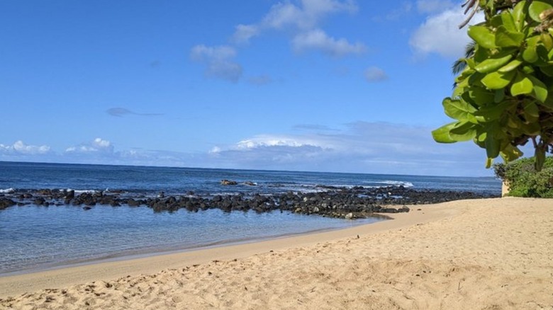 The sandy shore and wave-free waters at Baby Beach in Kauai