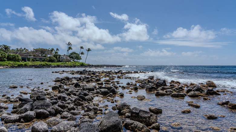 View of the rocky portion of Baby Beach in Kauai