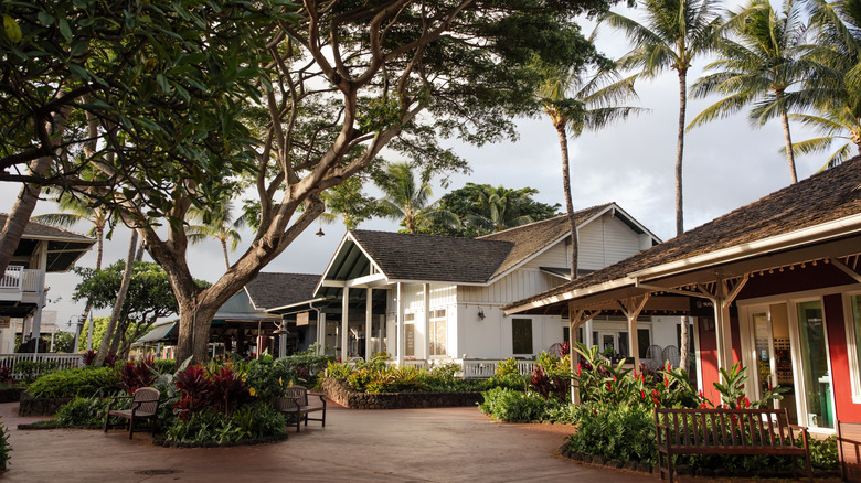 The Shops at Kukui'ula surrounded by trees