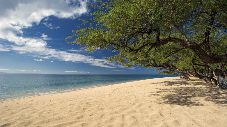 Papalaua Beach in Papalaua State Wayside Park