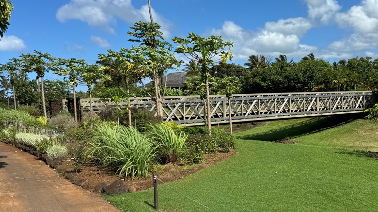 Walking bridge surrounded by palm trees at the Lodge at Kukui'ula in Kauai