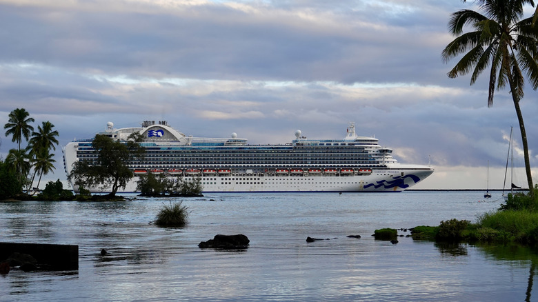An Emerald Princess cruise ship in Hawaii's Hilo Harbor, as seen from Reeds Bay