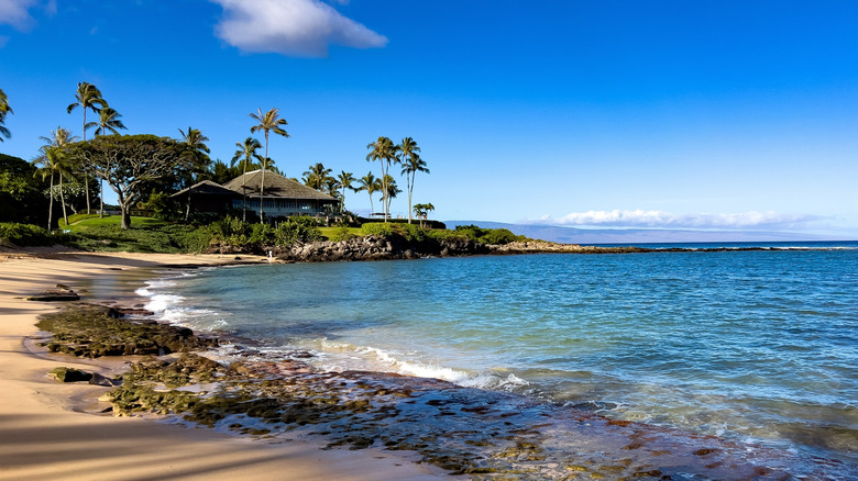 View of Merriman's Maui restaurant and the ocean