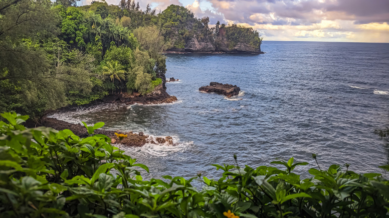 Onomea Bay overlook in Hawaii