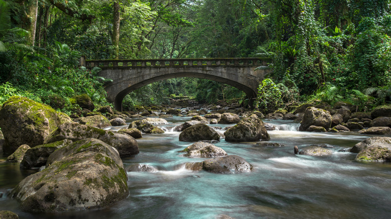 Hawaii Bridge KoleKole Park