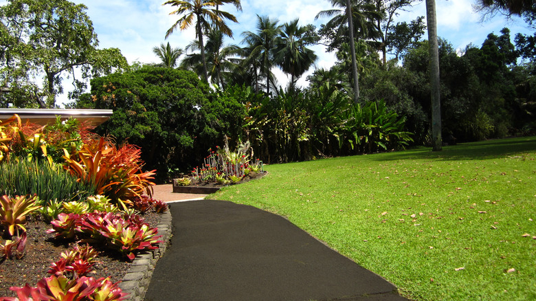 Walkway with lawns at the Foster Botanical Gardens, Honolulu