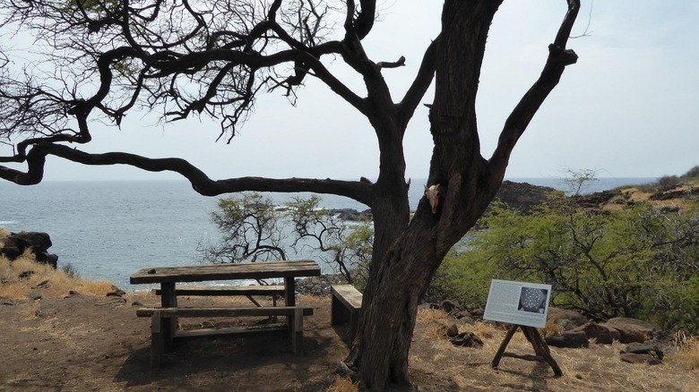 View of picnic table overlooking coast at  Kaunolu Village Site
