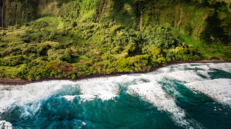 The waves meet the shores of Laupahoehoe, Hawaii