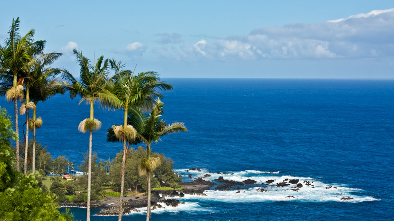 Laupāhoehoe Point in Laupāhoehoe Beach Park, Hawaii