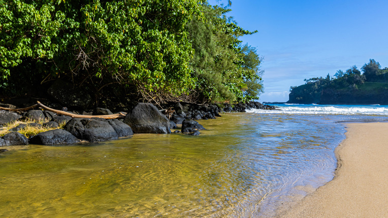 Kalihiwai River flowing into Kalihiwai Bay in Kauai, Hawaii