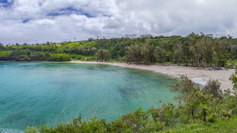Aerial view of Kalihiwai Beach in Kauai, Hawaii