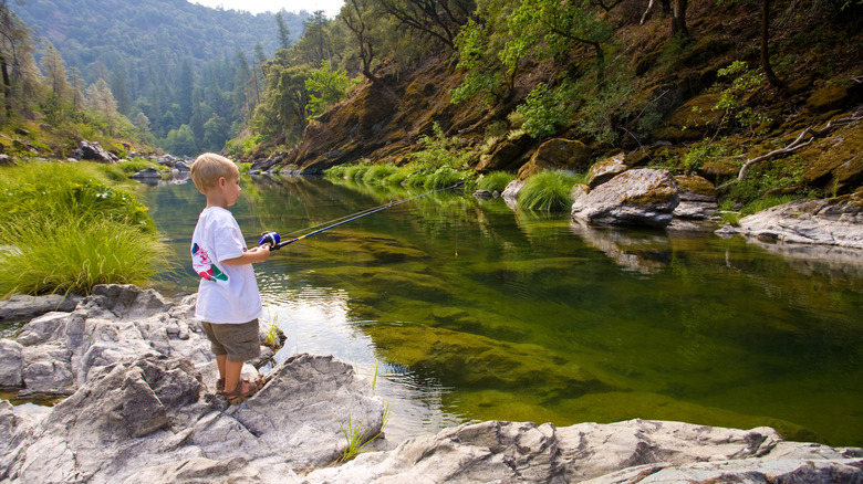 Boy fishing while standing on the banks of a river in Hayfork, California