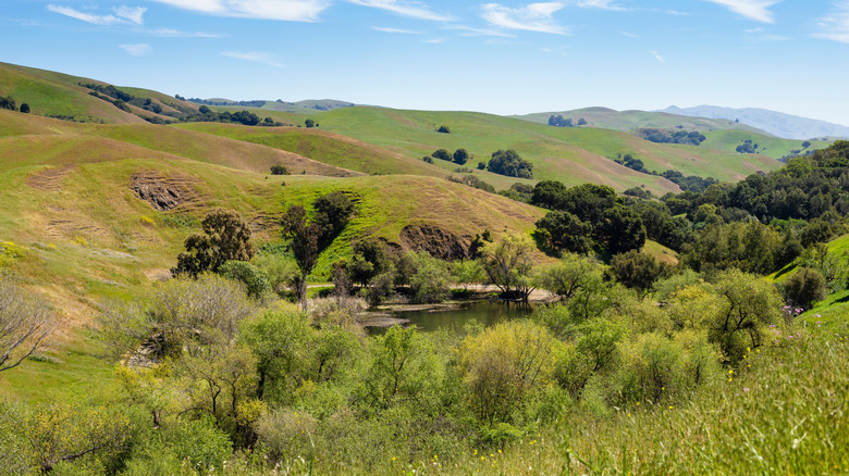View at Garin Regional Park, Hayward, California