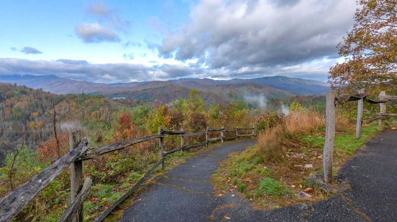 Fall foliage in the mountains surrounding a paved walkway at Cataloochee Overlook in the North Carolina section of Great Smoky Mountains National Park
