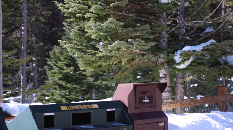 Trash and recycling bins in the woods at Rocky Mountain National park