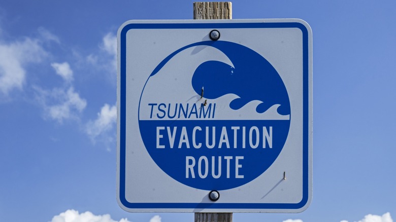 a tsunami saftey sign indicating an evacuation route