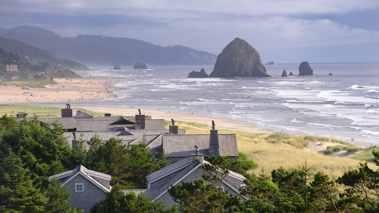 Coastal houses overlook beach in Oregon