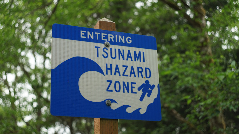Tsunami hazard zone sign