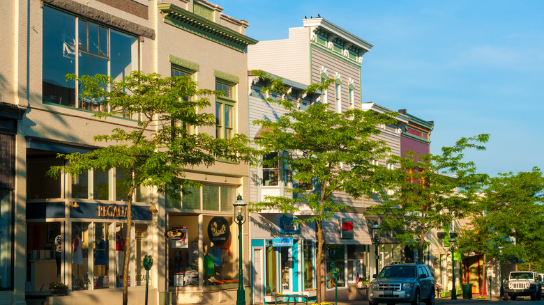 Downtown Petoskey, MI