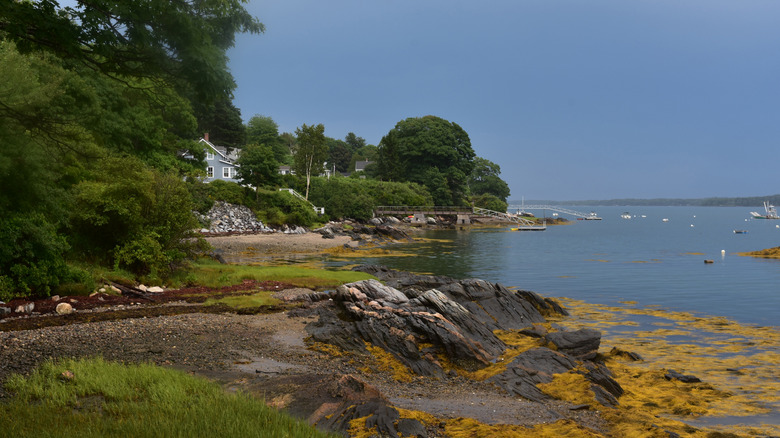 Rugged coast on with small house hidden among trees in Bustins Island, near Freeport, Maine