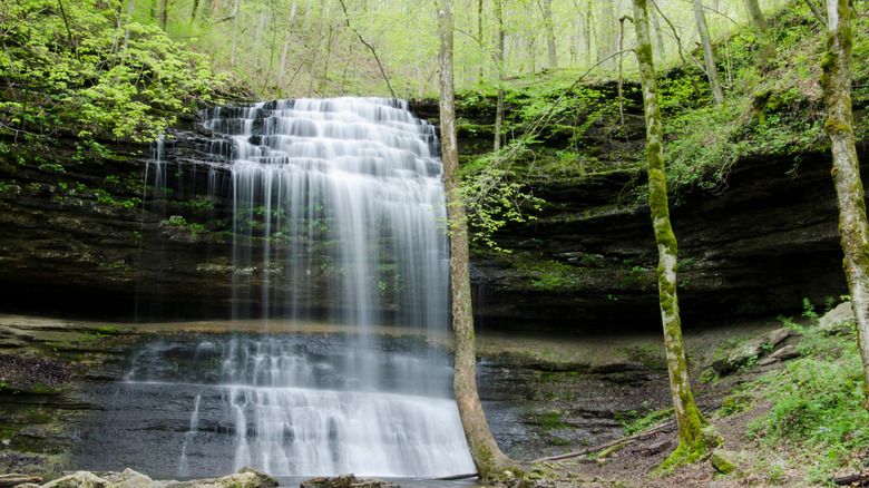 Stillhouse Holllow Falls and lush greenery