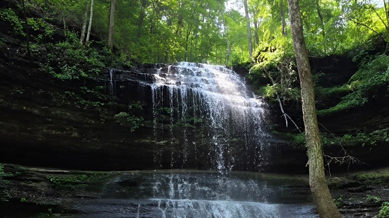 Stillhouse Hollow Falls and lush trees on sunny day