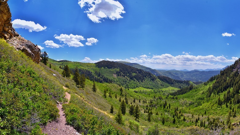 A hiking path near Silver Lake Flat Reservoir