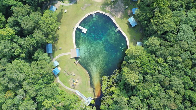 Blue Springs in Bronson Florida surrounded by green trees