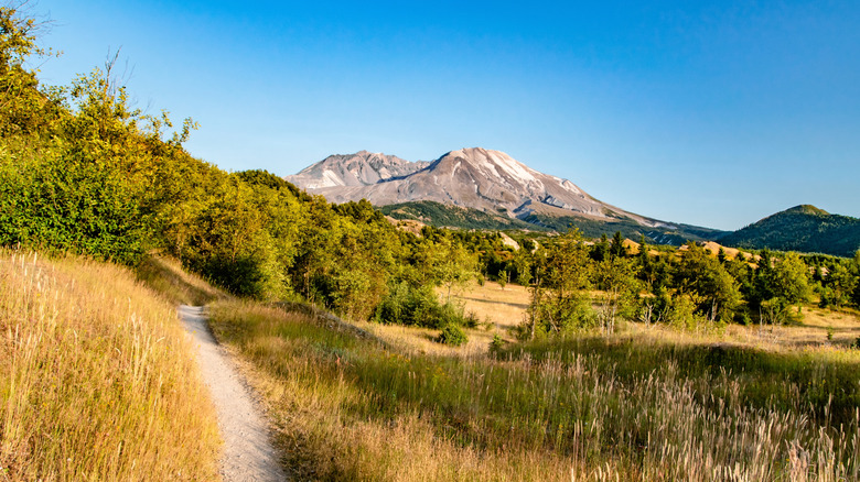 View of Mount St. Helens National Volcanic Monument