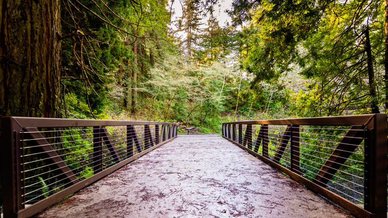 Bridge over Purisima Creek at Purisima Creek Redwoods Preserve