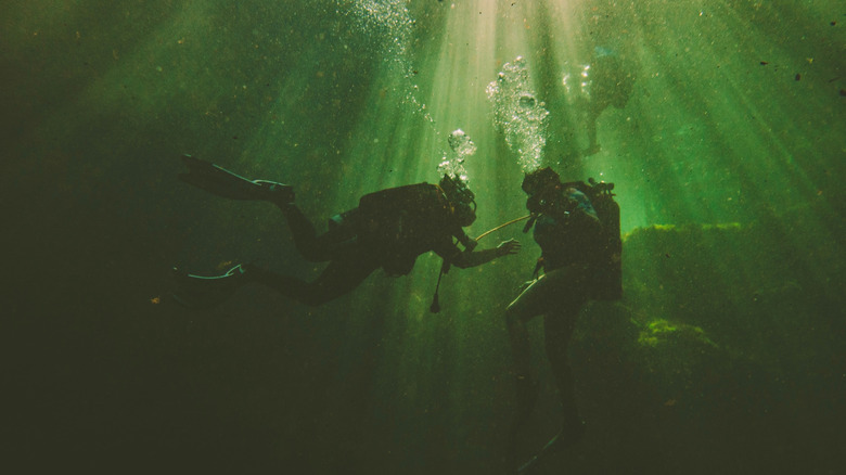Two divers in the green waters of Troy Spring State Park