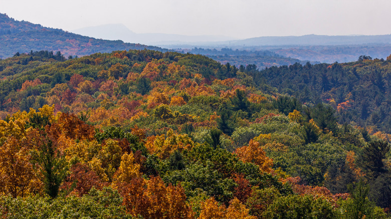 Fall foliage in Greenfield, Massachusetts
