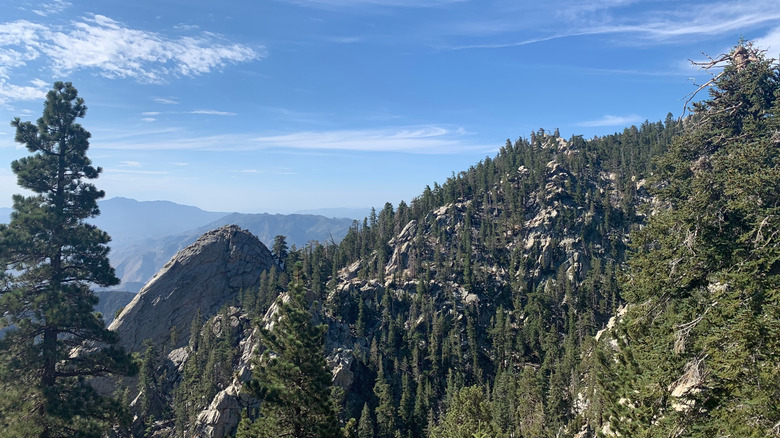 View at the top of Mount San Jacinto State Park, California