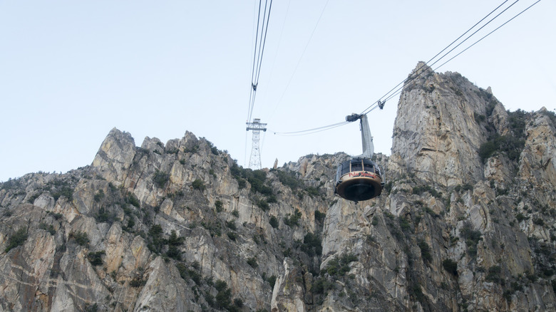 The Palm Springs Aerial Tramway carries passengers from the desert town of Palm Springs up the side of Mount San Jacinto