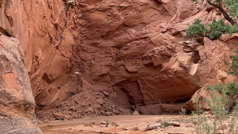 Blue John Canyon red rock landscape