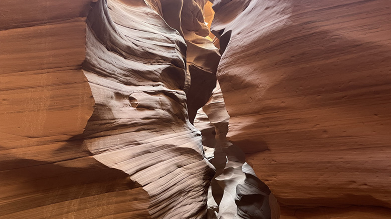 Sandstone walls of Blue John Canyon