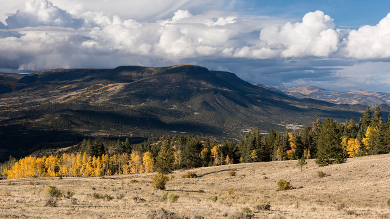 Hikinh through the nature and seeing the mountains near South Fork, Colorado
