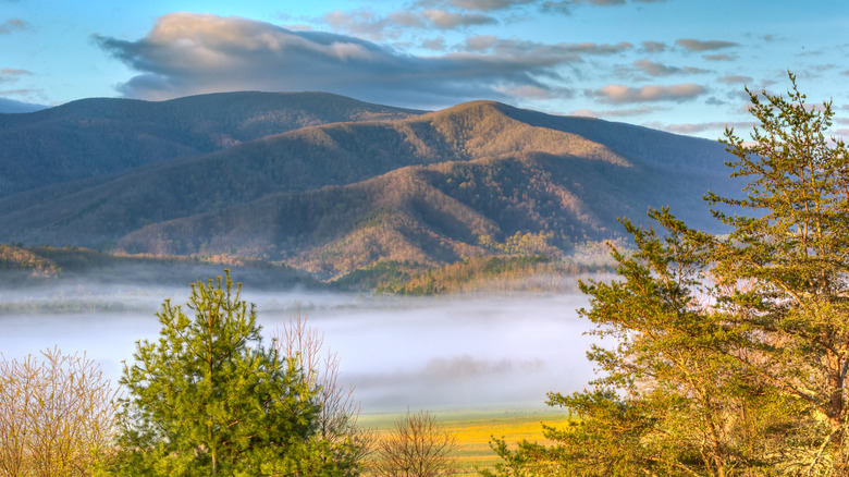 Cades Cove near Wears Valley