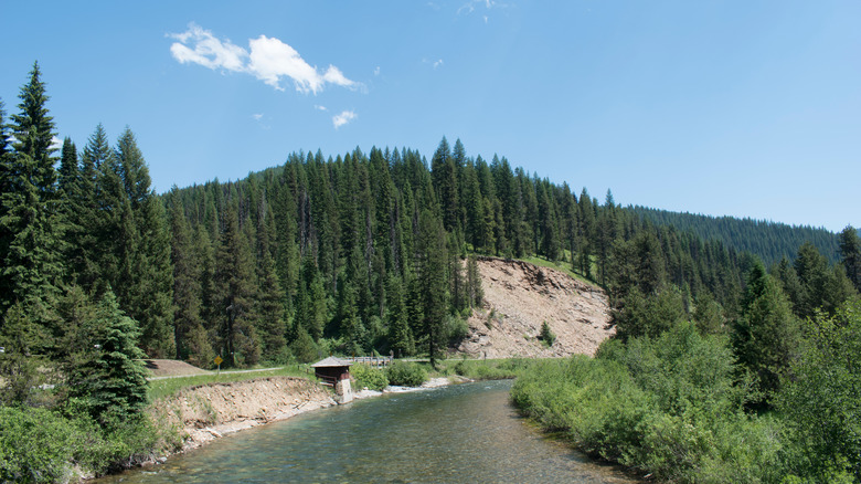 The St. Joe River near the Red Ives Ranger Station