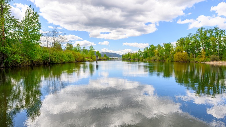the St. Joe River running through St. Maries, Idaho