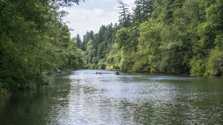 Kayakers paddle down the Tualatin River Trail