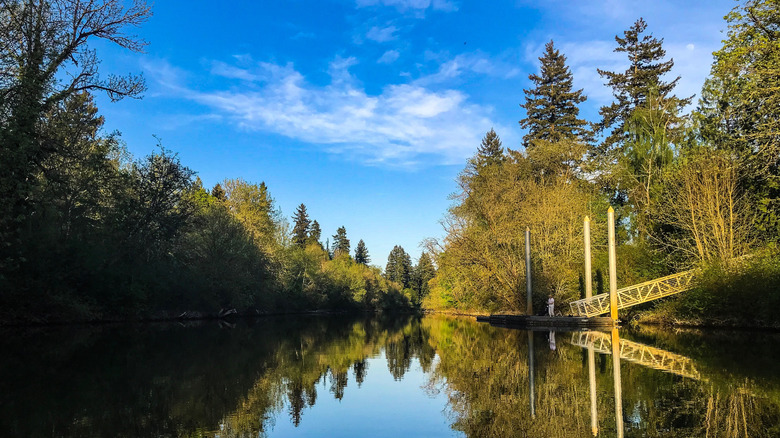 A view of the Tualatin River